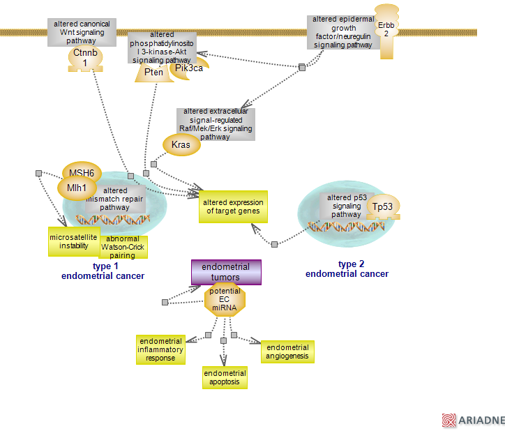 download biosensors based on