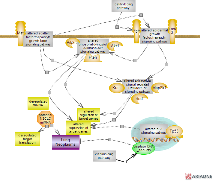 download informationsmanagement