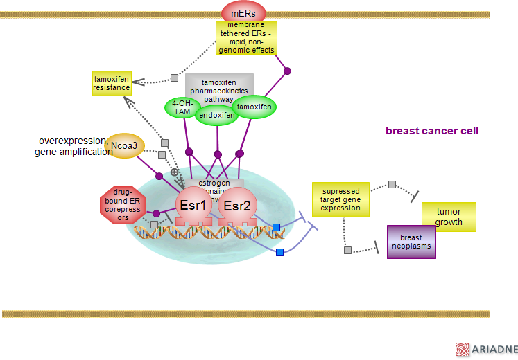 download eye movement research