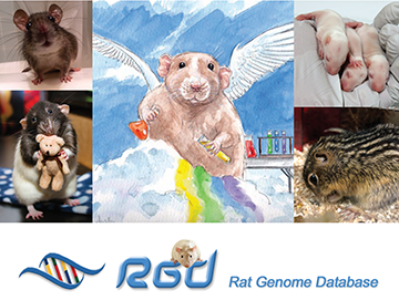 RGD Calendar Submission