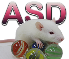 Rat models on the rise in autism research