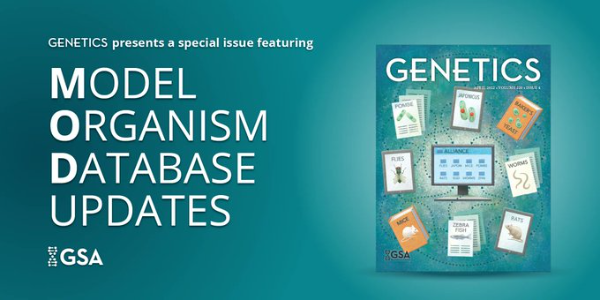 Genetics MOD Special Issue