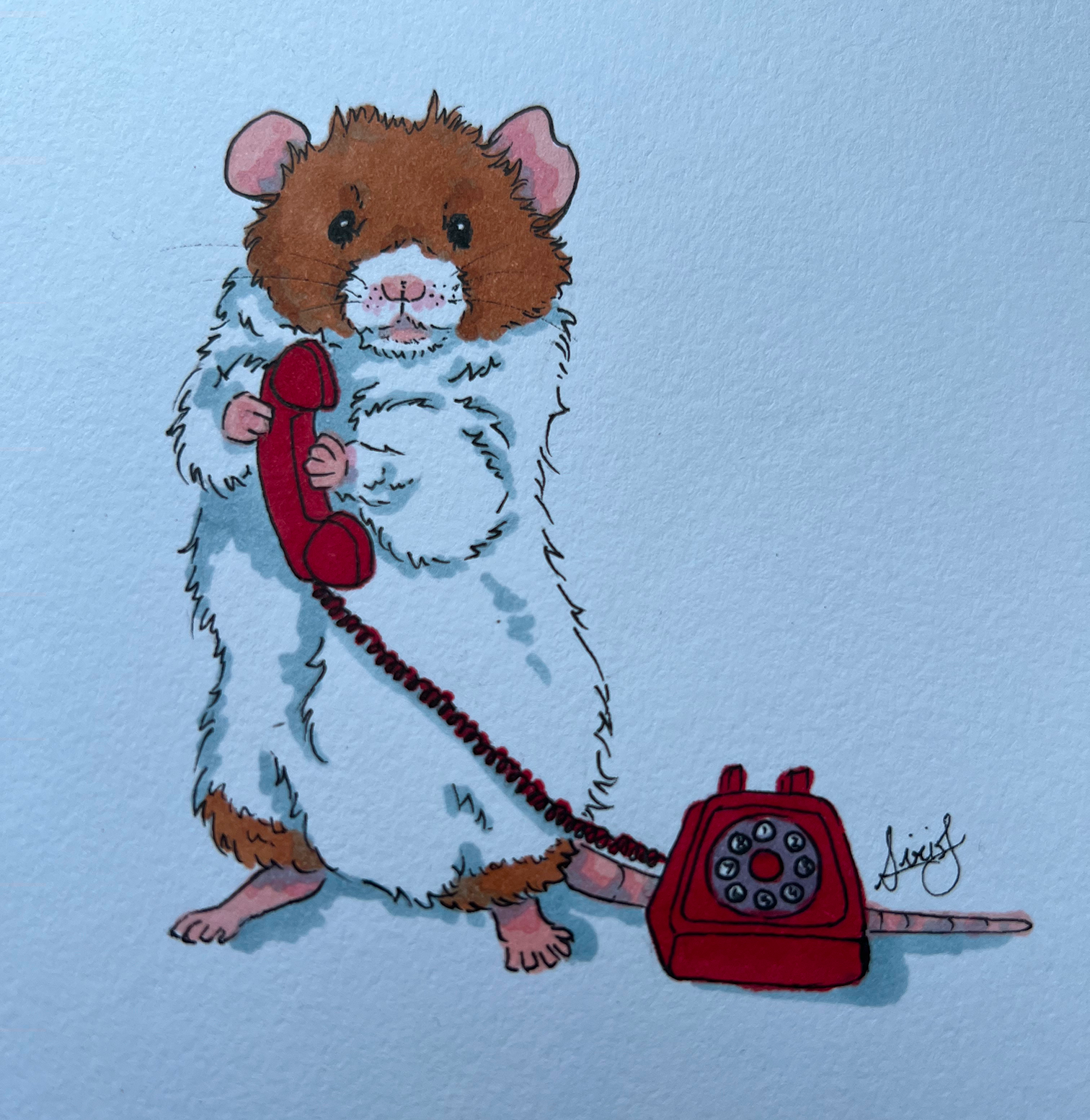 Contact us to request your hardcopies