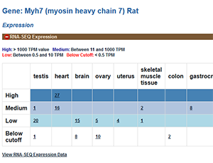 Rat Myh7 Expression Summary Table