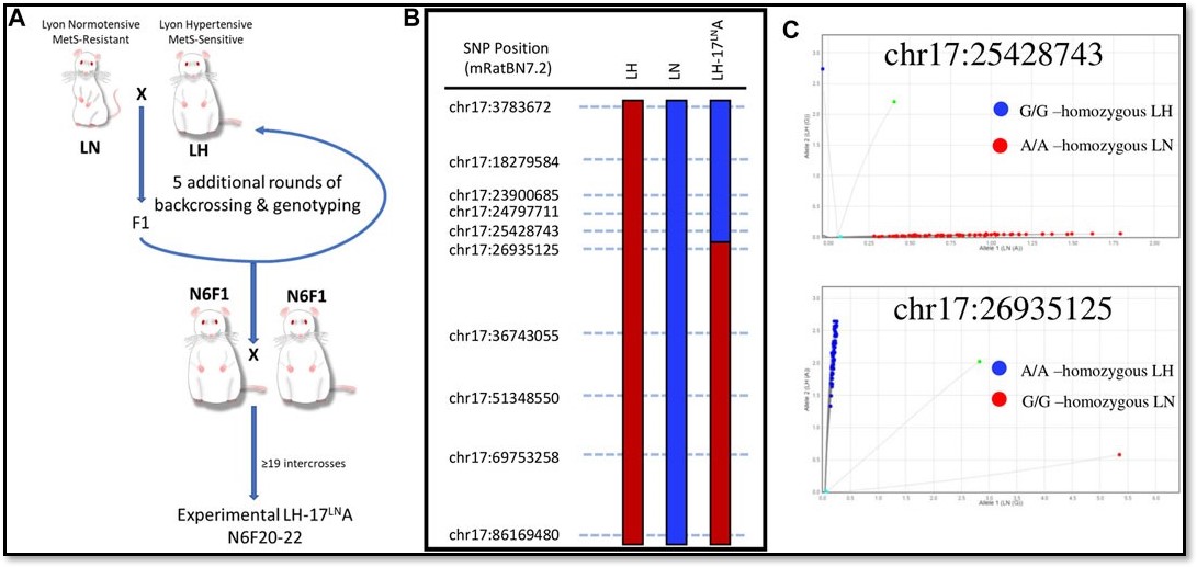 Frontiers in Genetics