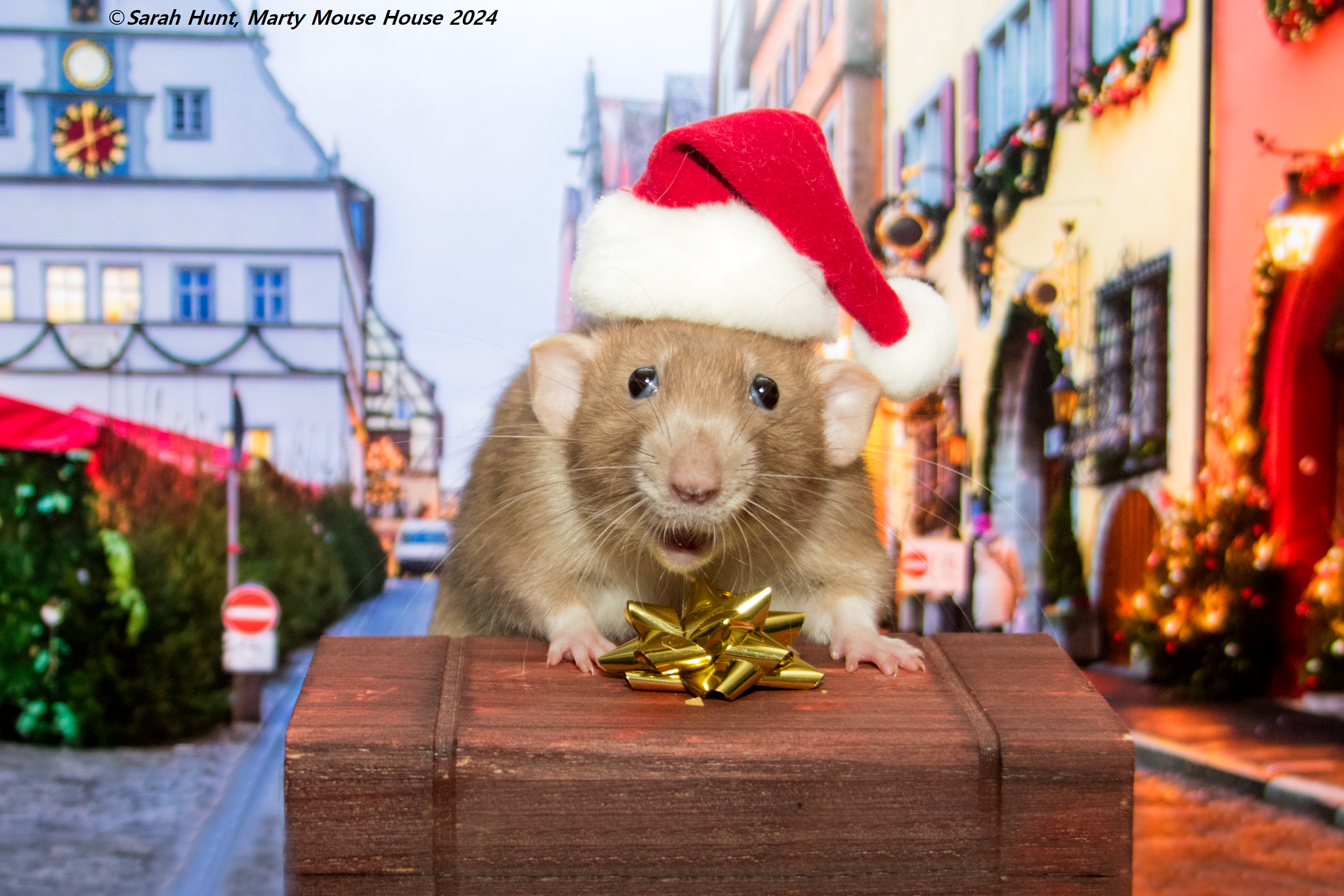 Contact us to request your hardcopies