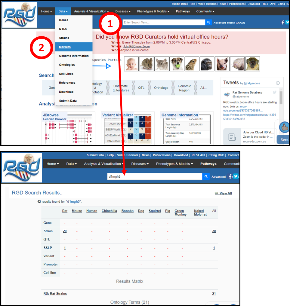 Current Marker Search