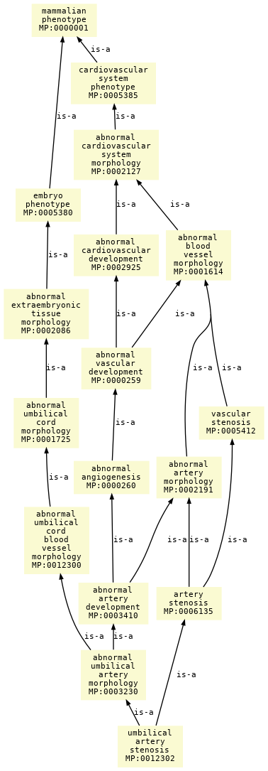 paths to the root