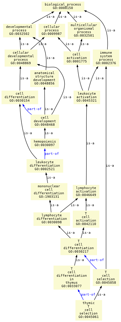 paths to the root