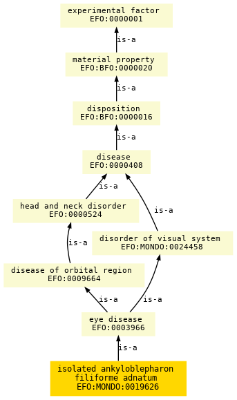 paths to the root