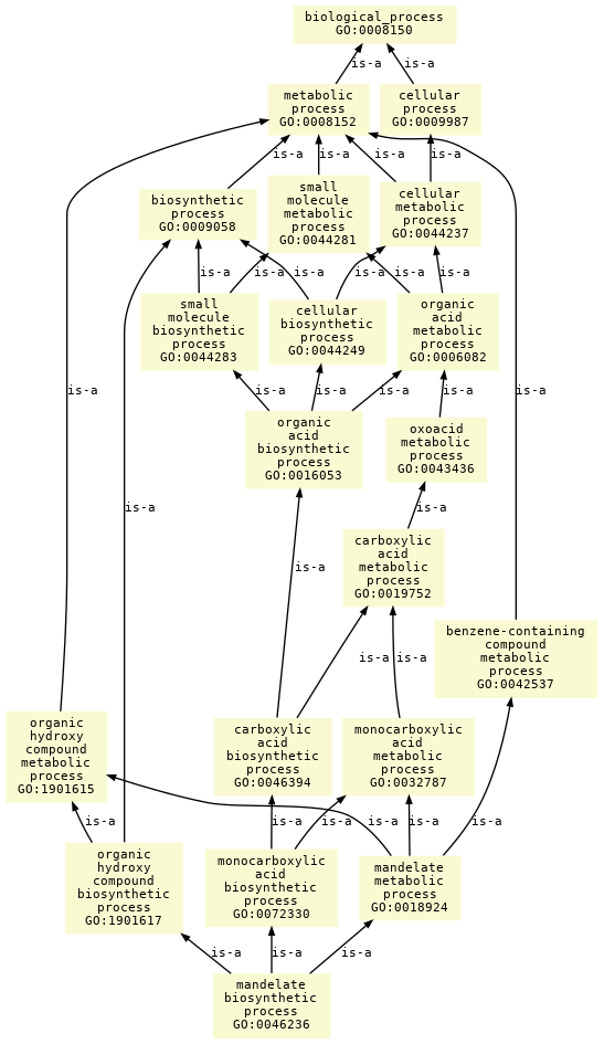 paths to the root