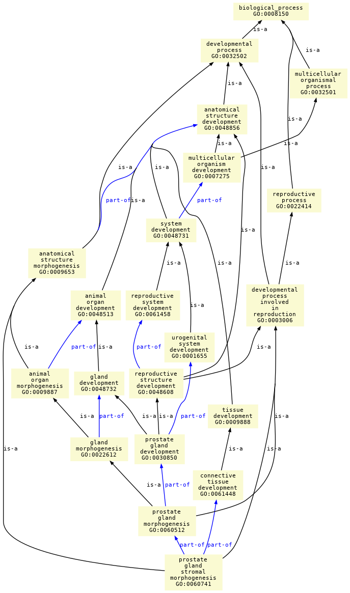 paths to the root