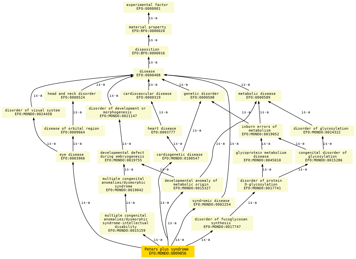 paths to the root