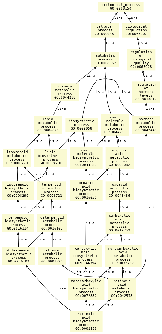 paths to the root