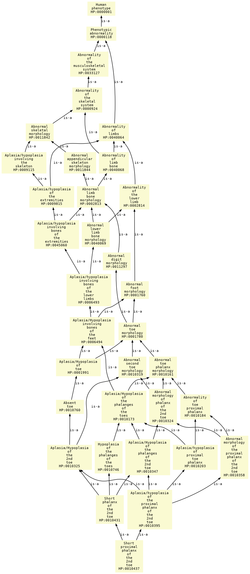 paths to the root