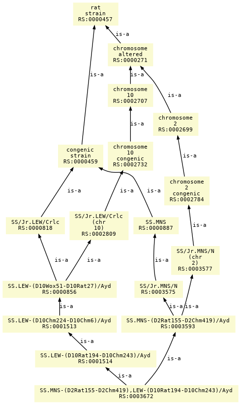 paths to the root