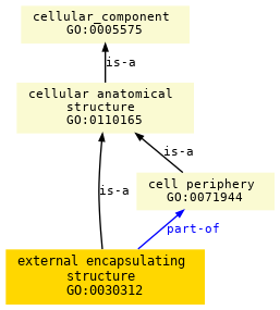 paths to the root