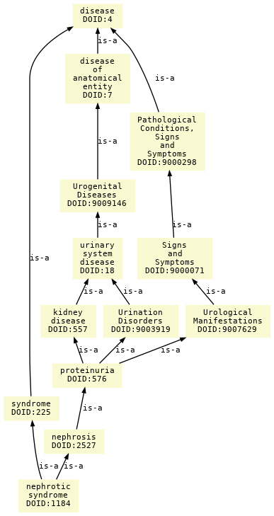 paths to the root