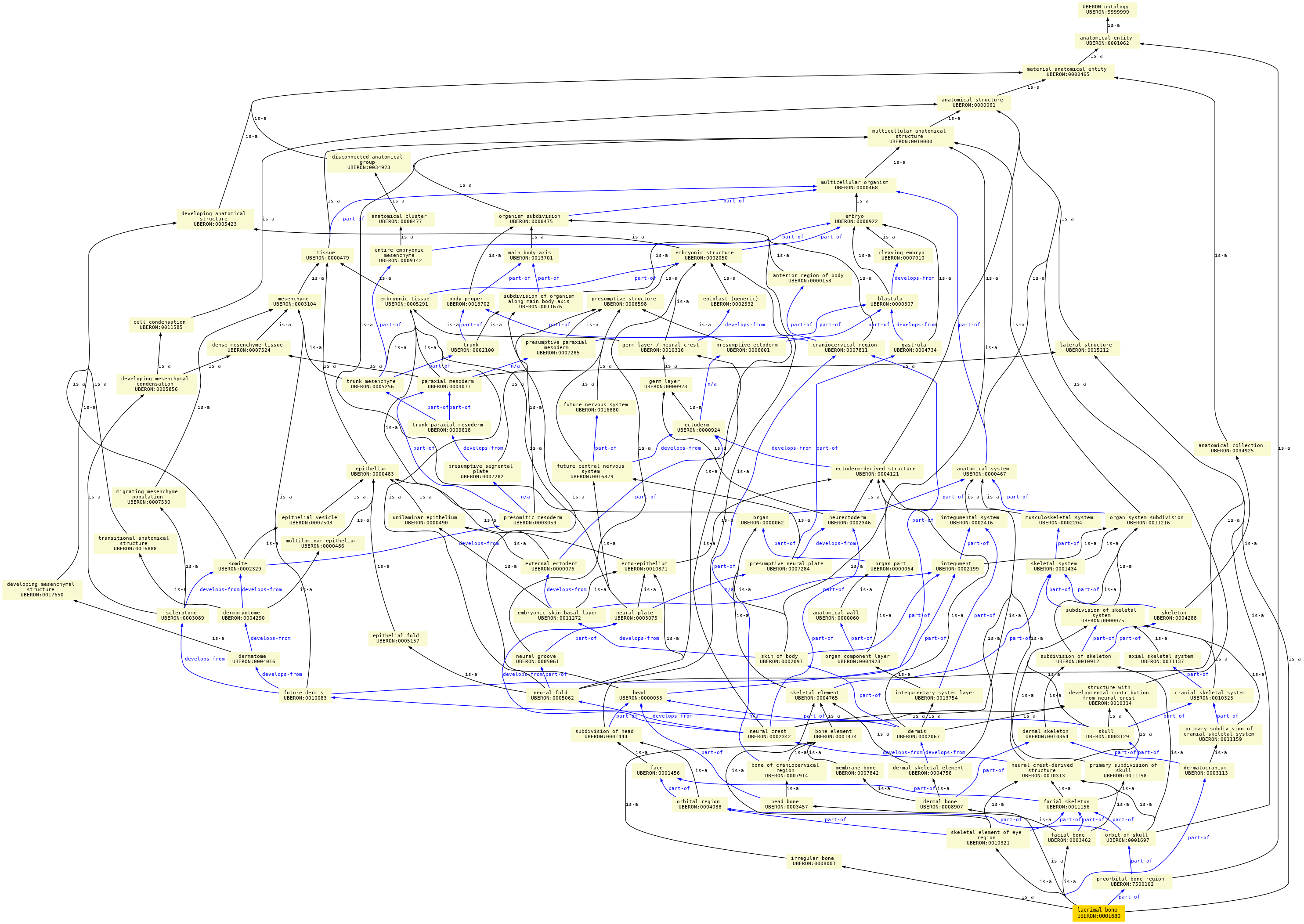 paths to the root