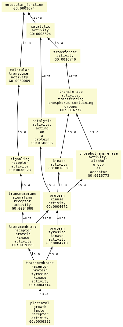 paths to the root