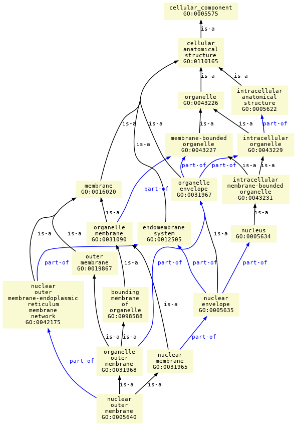 paths to the root