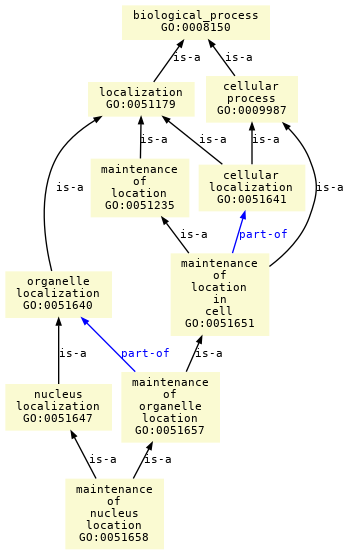 paths to the root