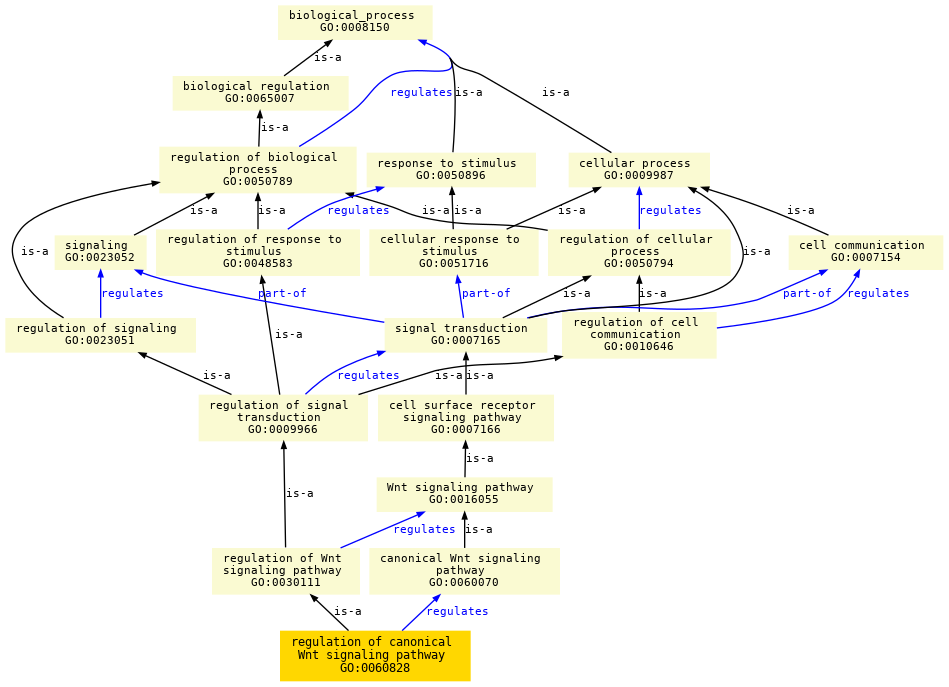 paths to the root