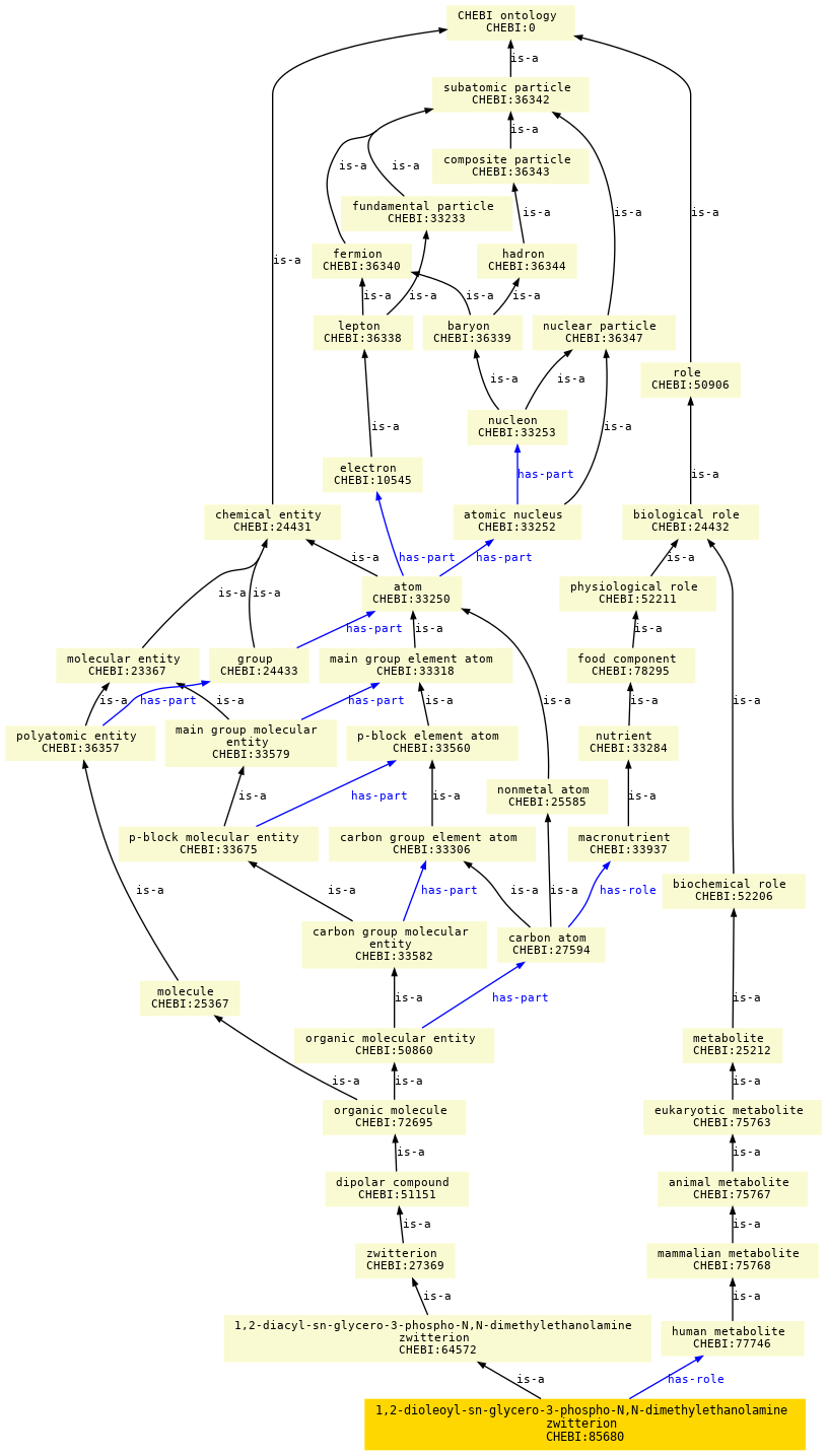 paths to the root