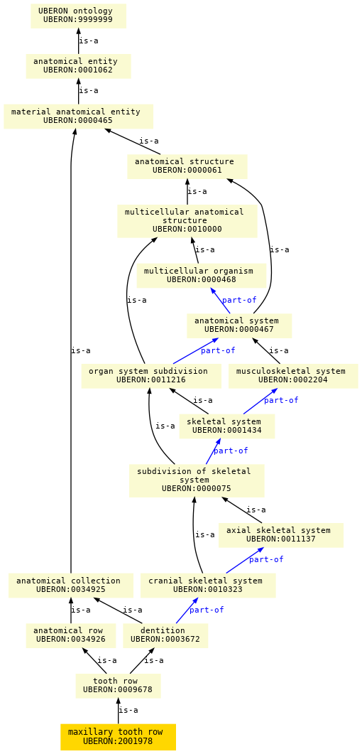 paths to the root