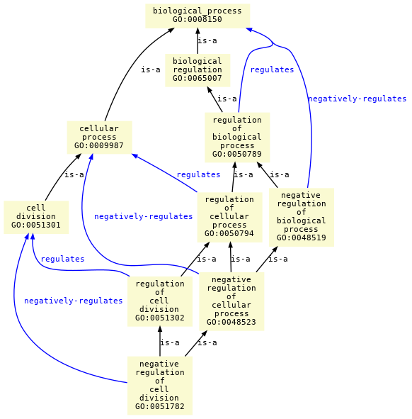 paths to the root