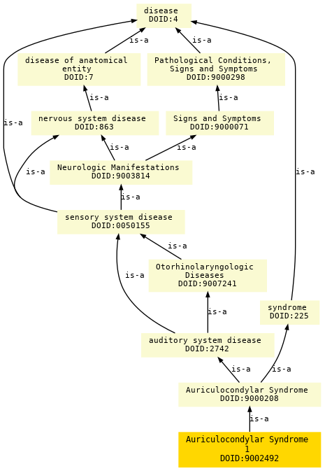 paths to the root