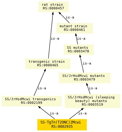 paths to the root