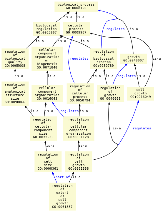 paths to the root