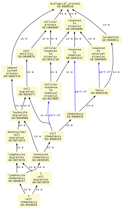 paths to the root