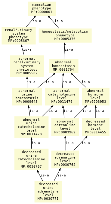 paths to the root