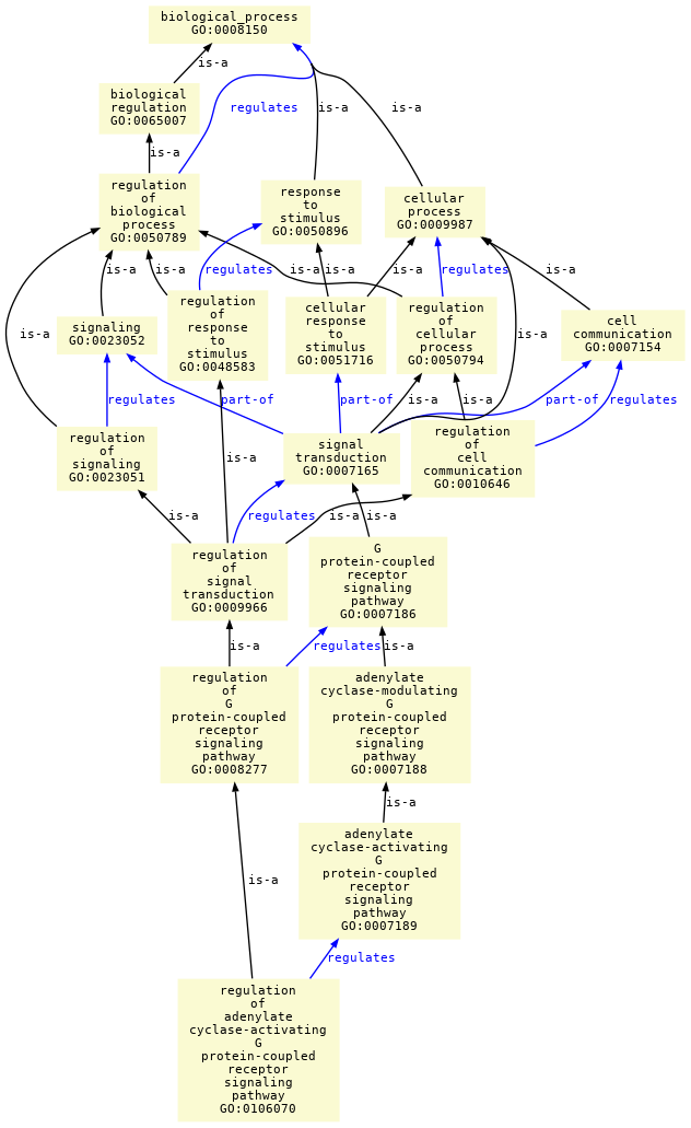 paths to the root