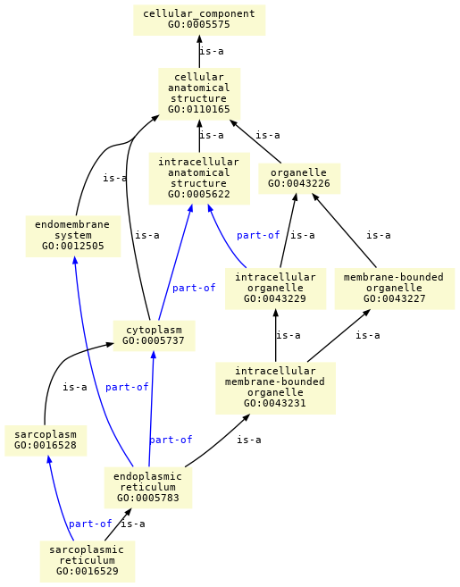 paths to the root