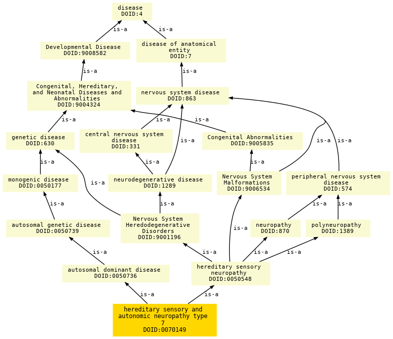 paths to the root