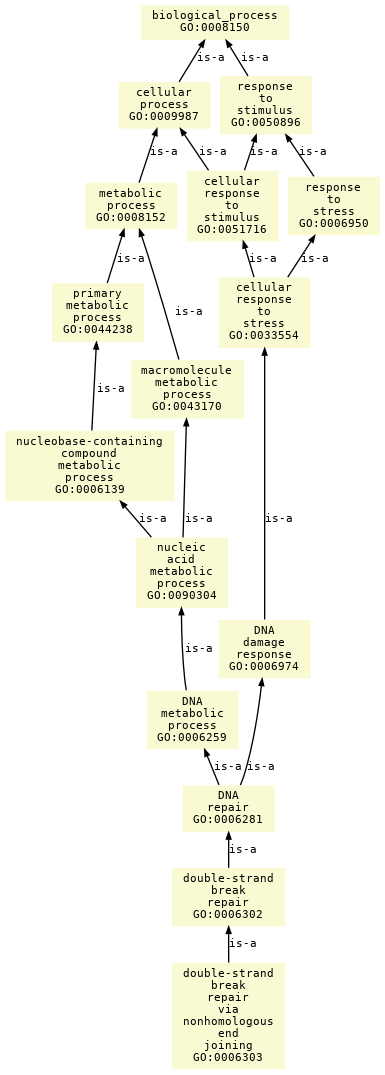 paths to the root