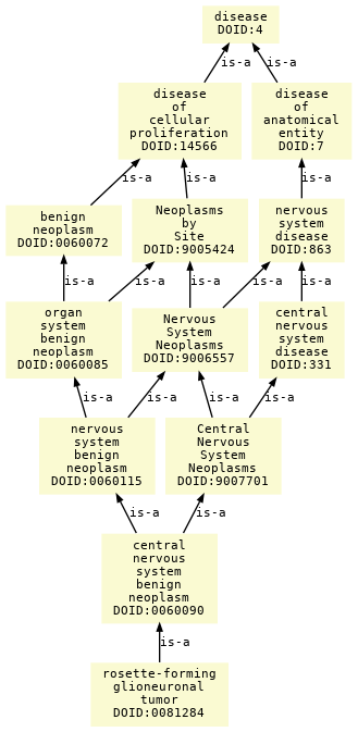 paths to the root