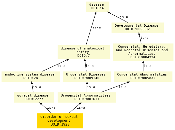 paths to the root