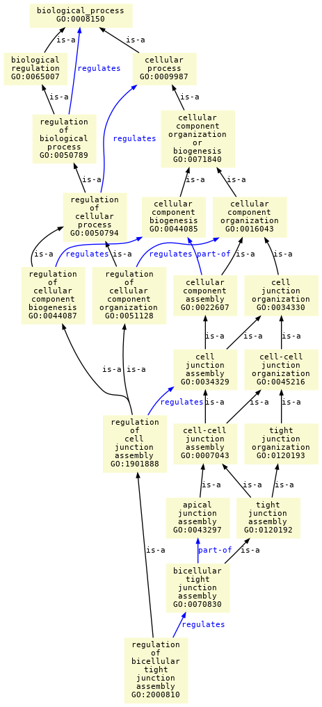 paths to the root