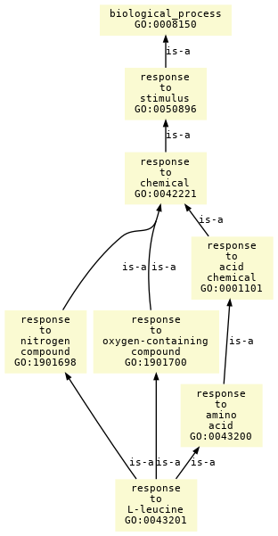 paths to the root