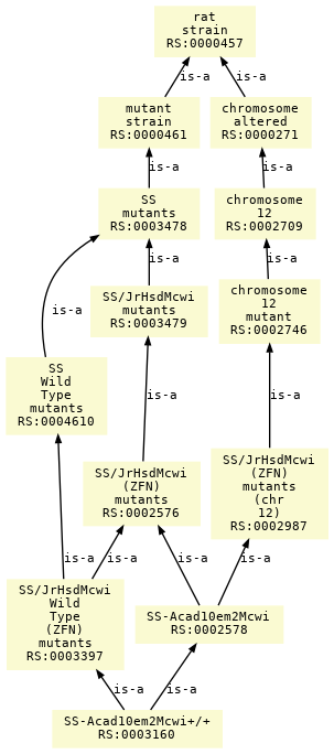 paths to the root