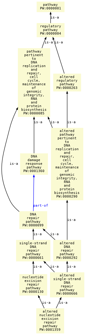 paths to the root