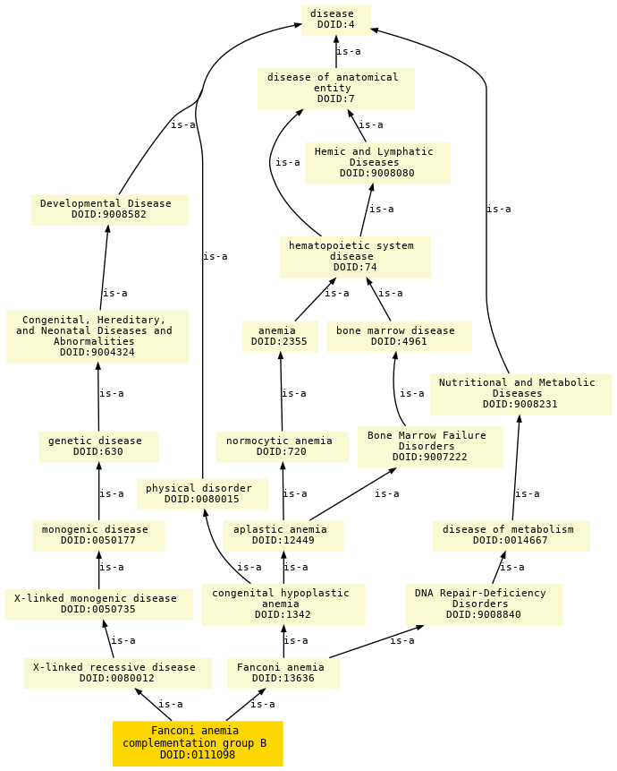 paths to the root