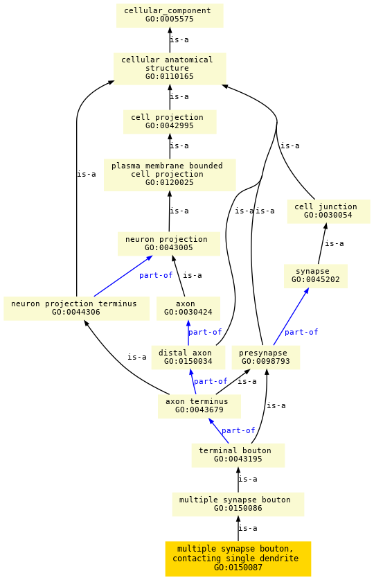 paths to the root