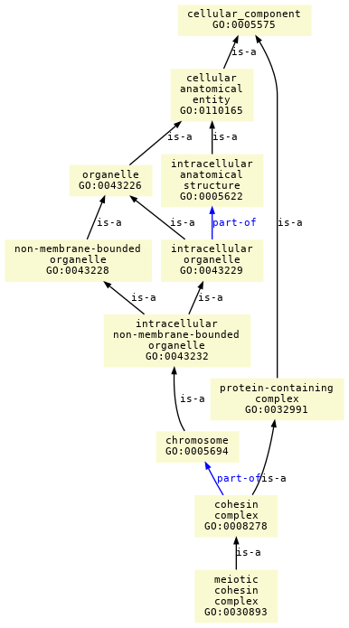 paths to the root