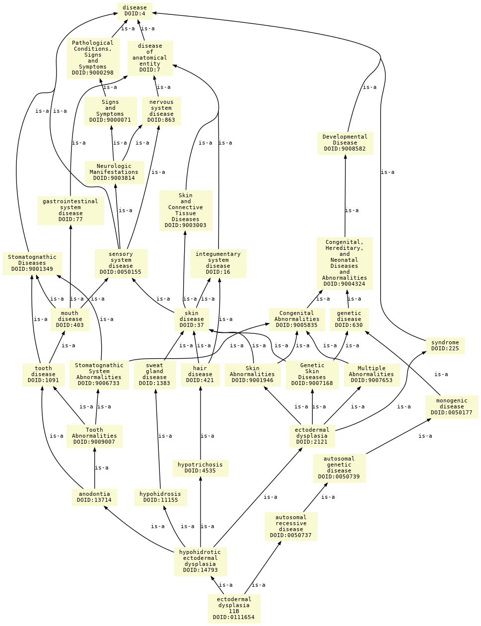 paths to the root