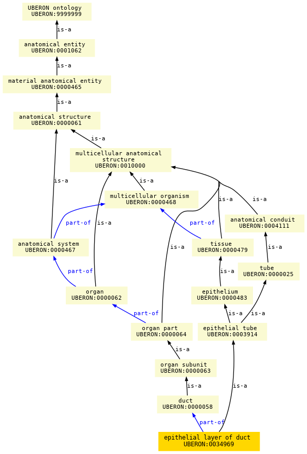 paths to the root